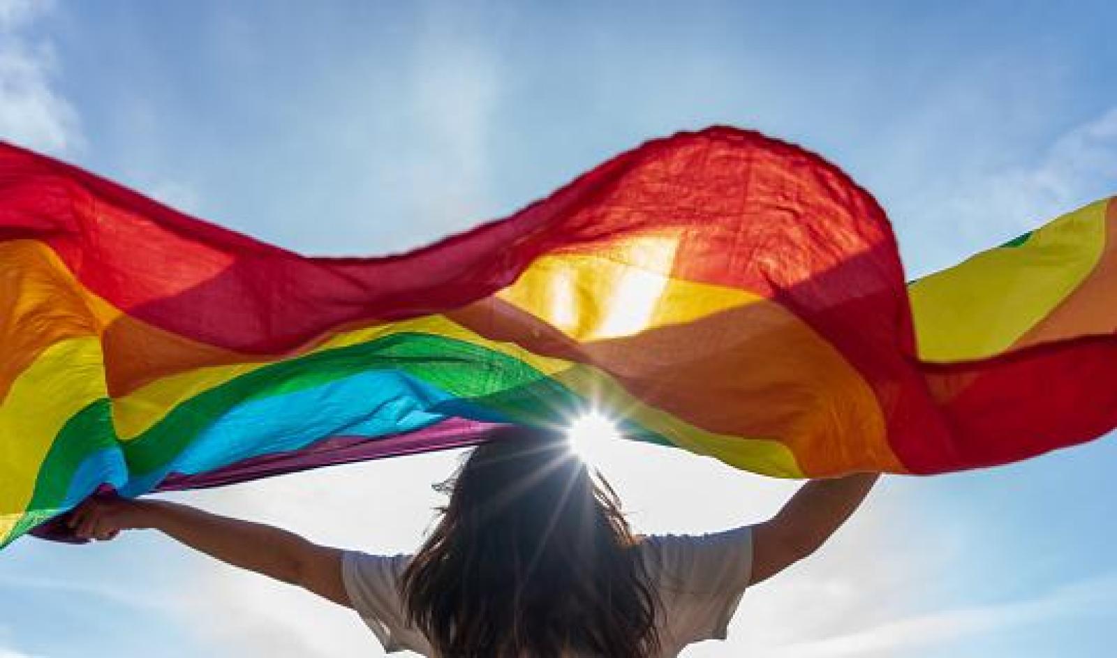 A História Do Movimento Lgbt Brasileiro