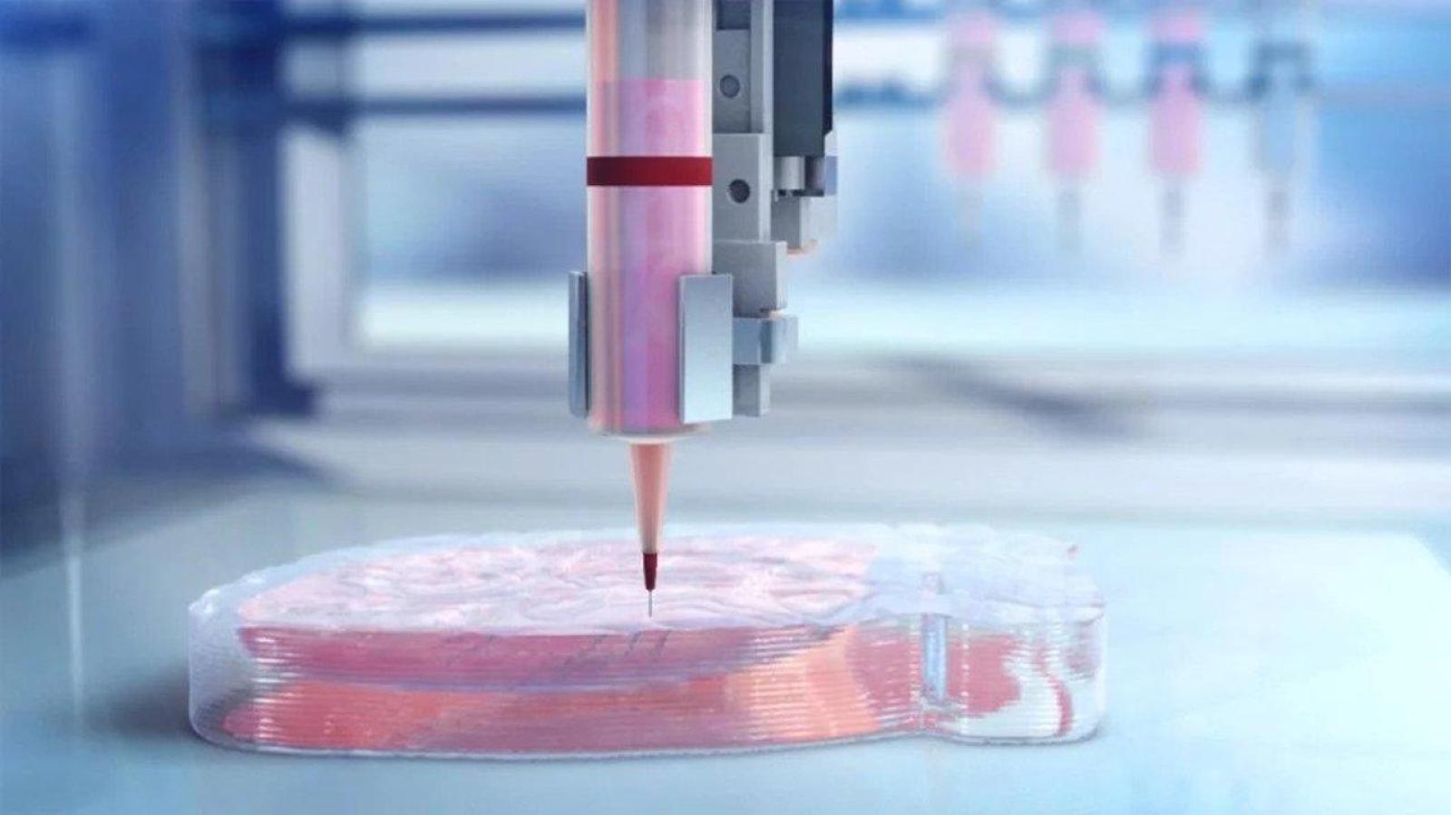 Bioprinting 3D e 4D: o futuro do desenvolvimento de medicamentos