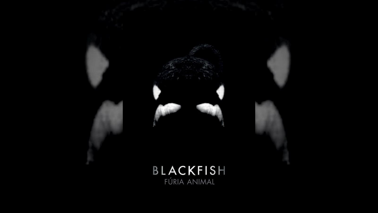 "Blackfish Fúria Animal" - Documentário