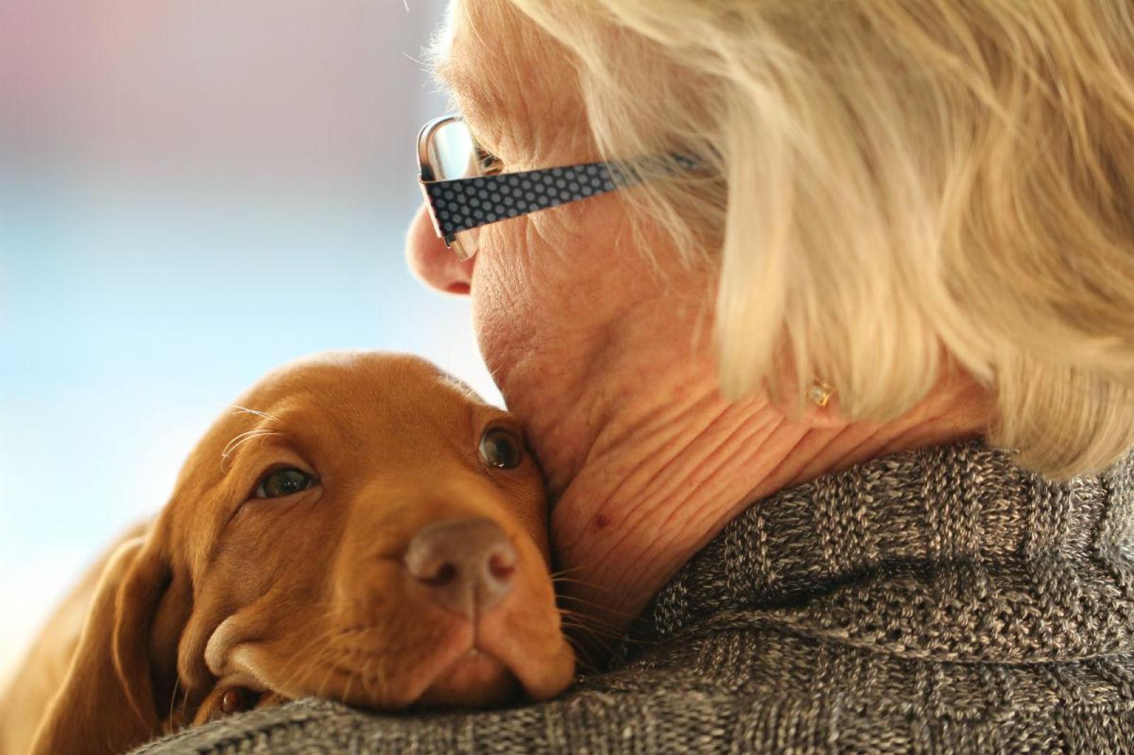 Cãoterapia: Idosos Se Beneficiam Com Projeto Pets Da Alegria