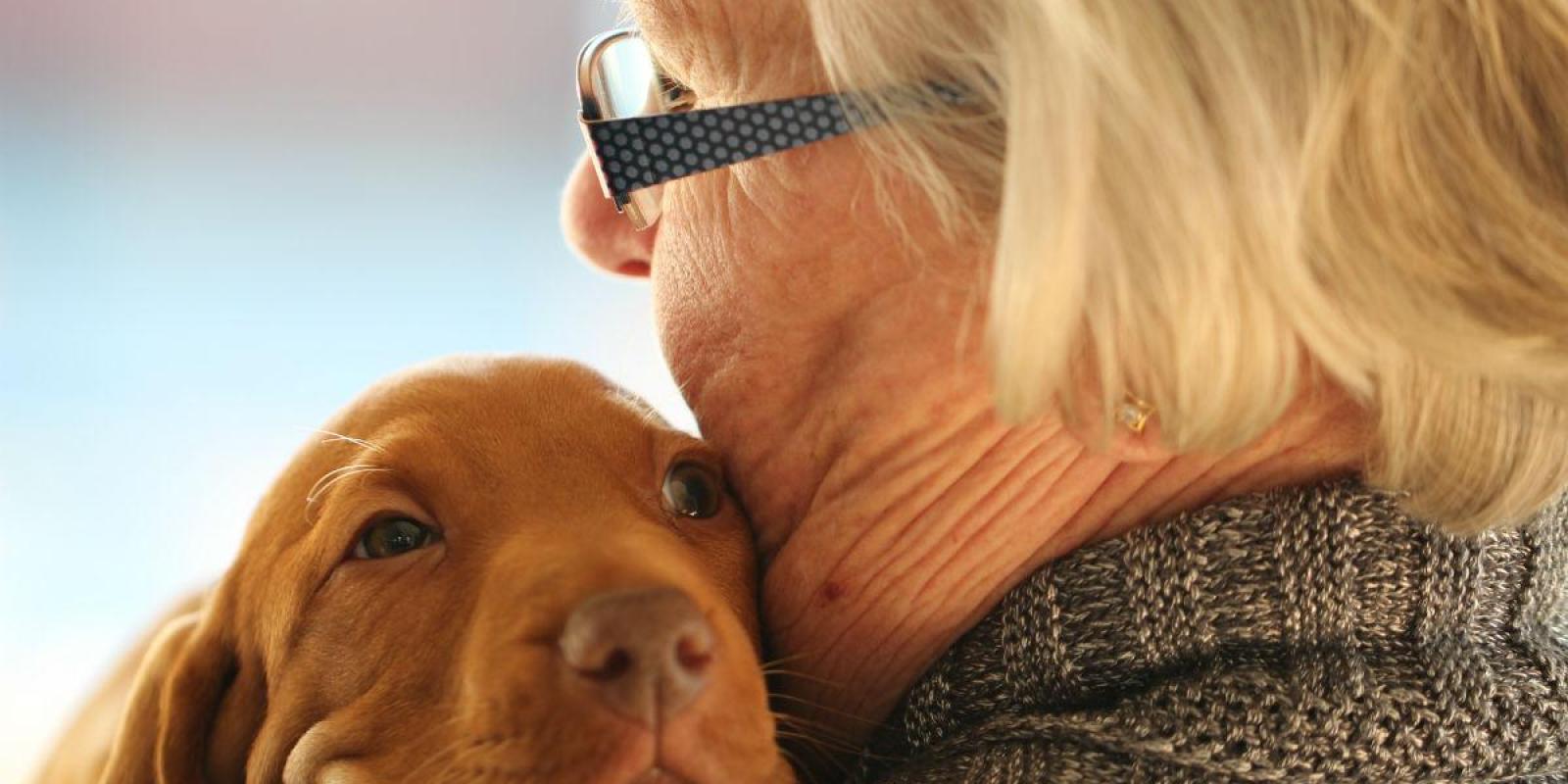 Cãoterapia: Idosos Se Beneficiam Com Projeto Pets Da Alegria