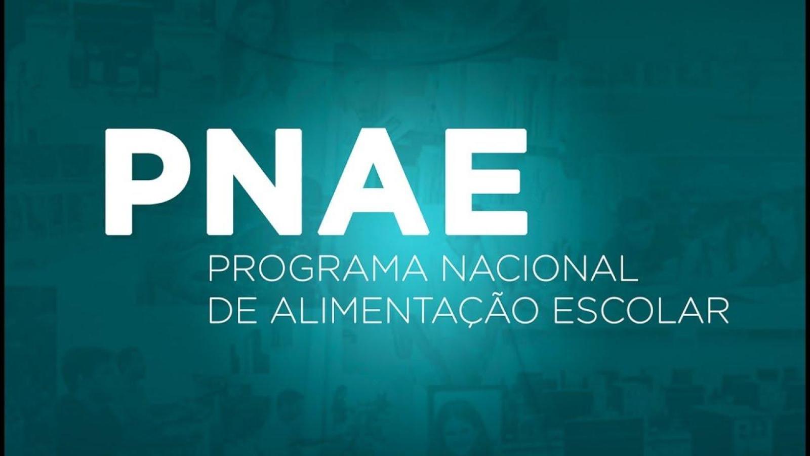 Conheça O Programa Nacional De Alimentação Escolar