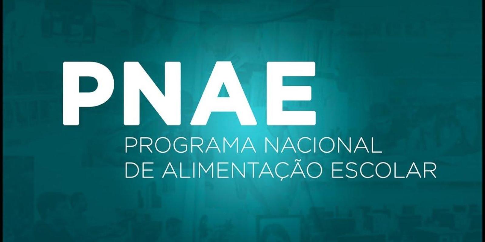 Conheça O Programa Nacional De Alimentação Escolar