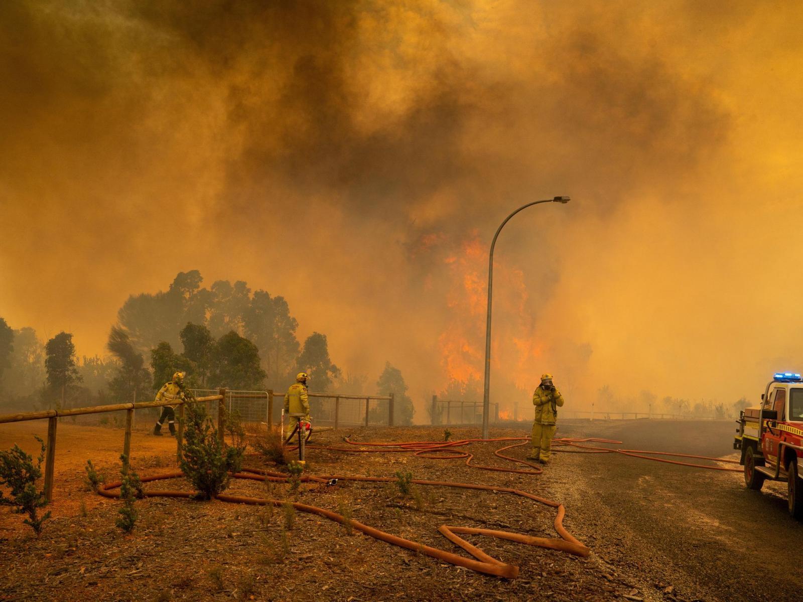 Ecocídio: o crime de destruição ambiental em massa