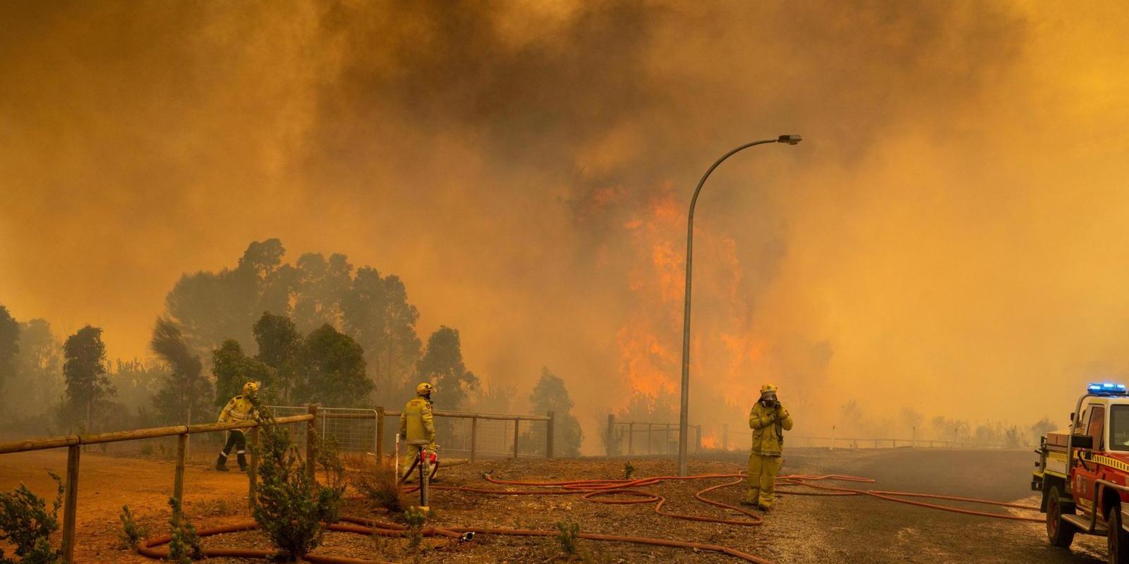 Ecocídio: o crime de destruição ambiental em massa