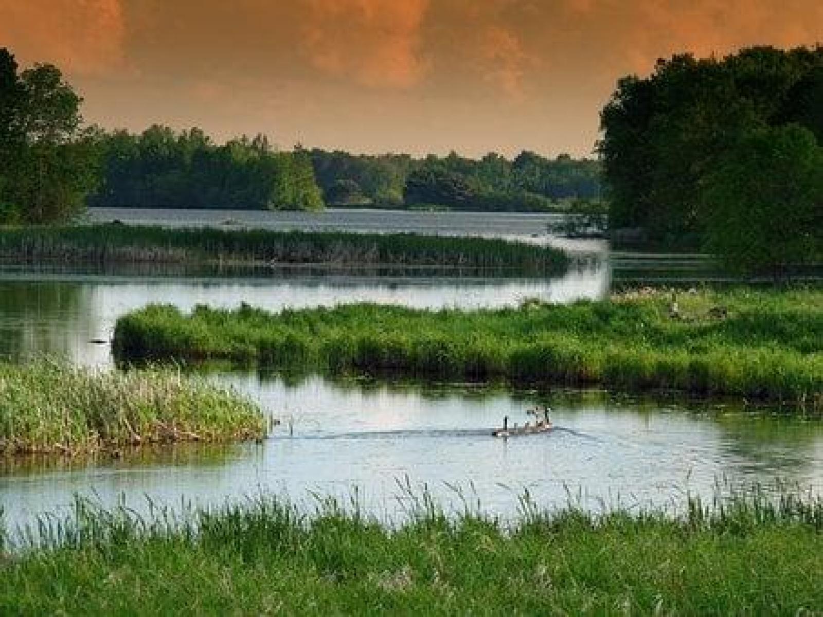 Especial Pantanal