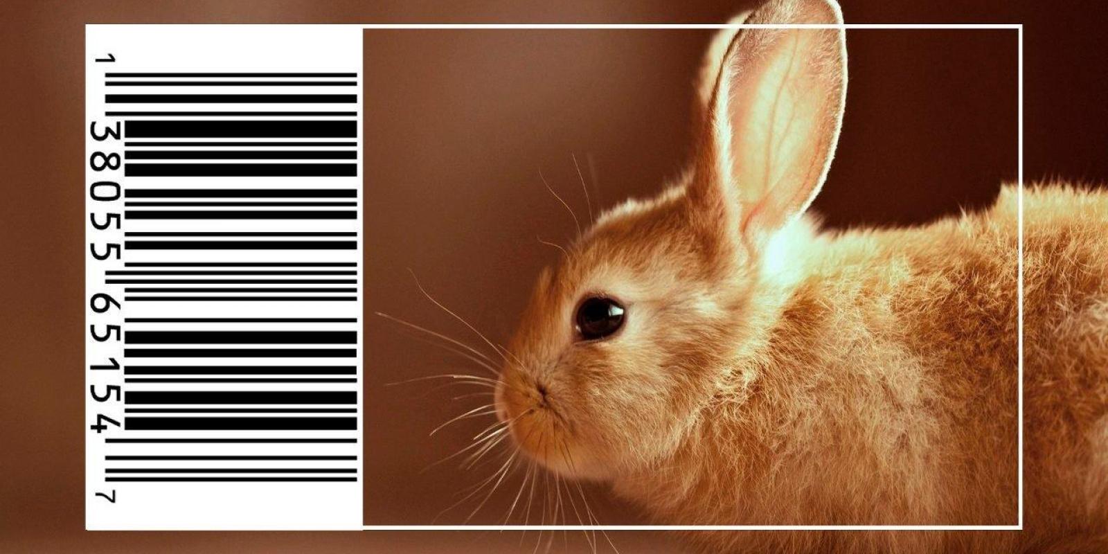 Fim Dos Testes De Cosméticos Em Animais: Natura E The Body Shop Juntas Na Causa