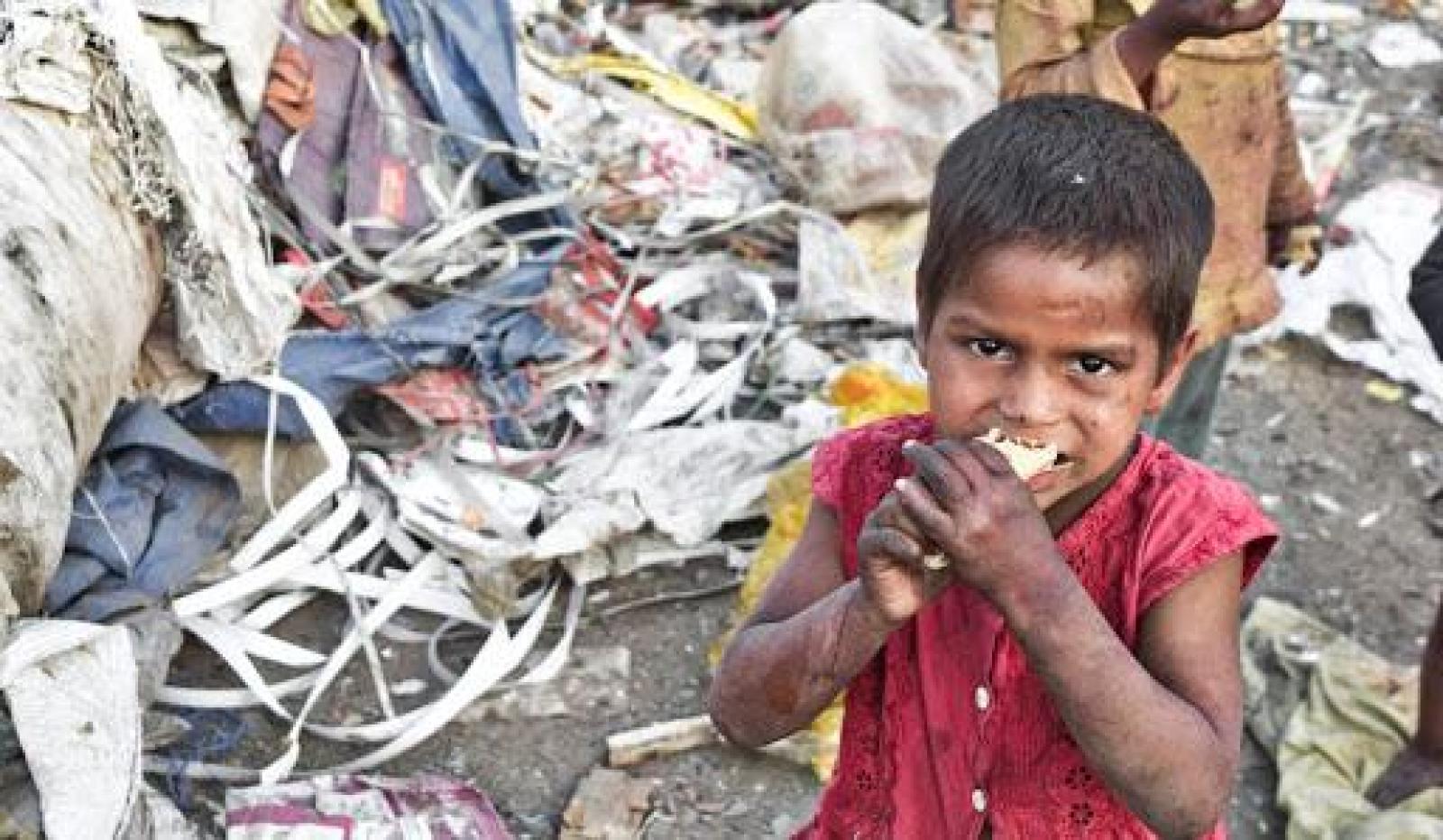 Fome E Desnutrição No Mundo.