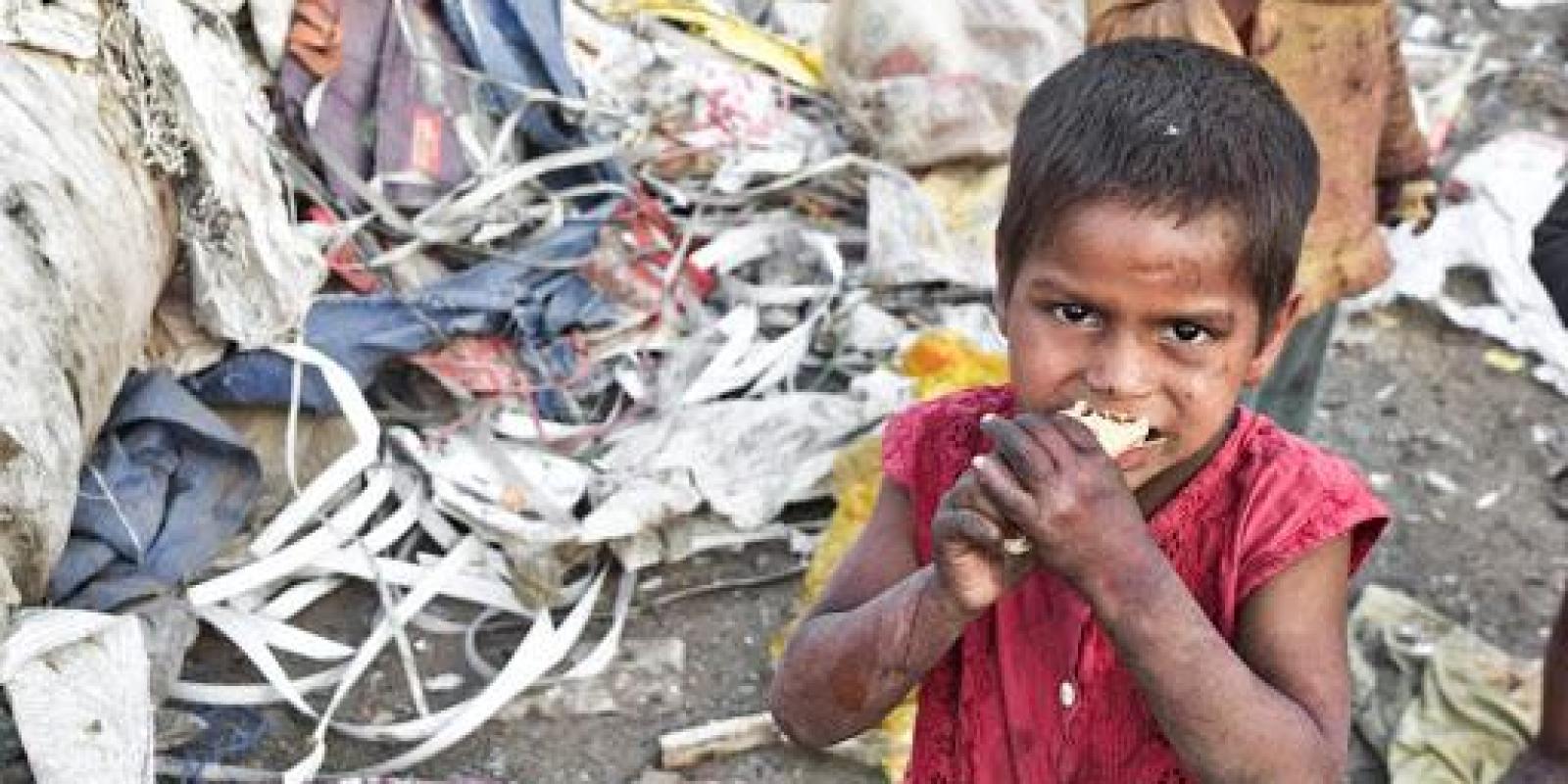 Fome E Desnutrição No Mundo.