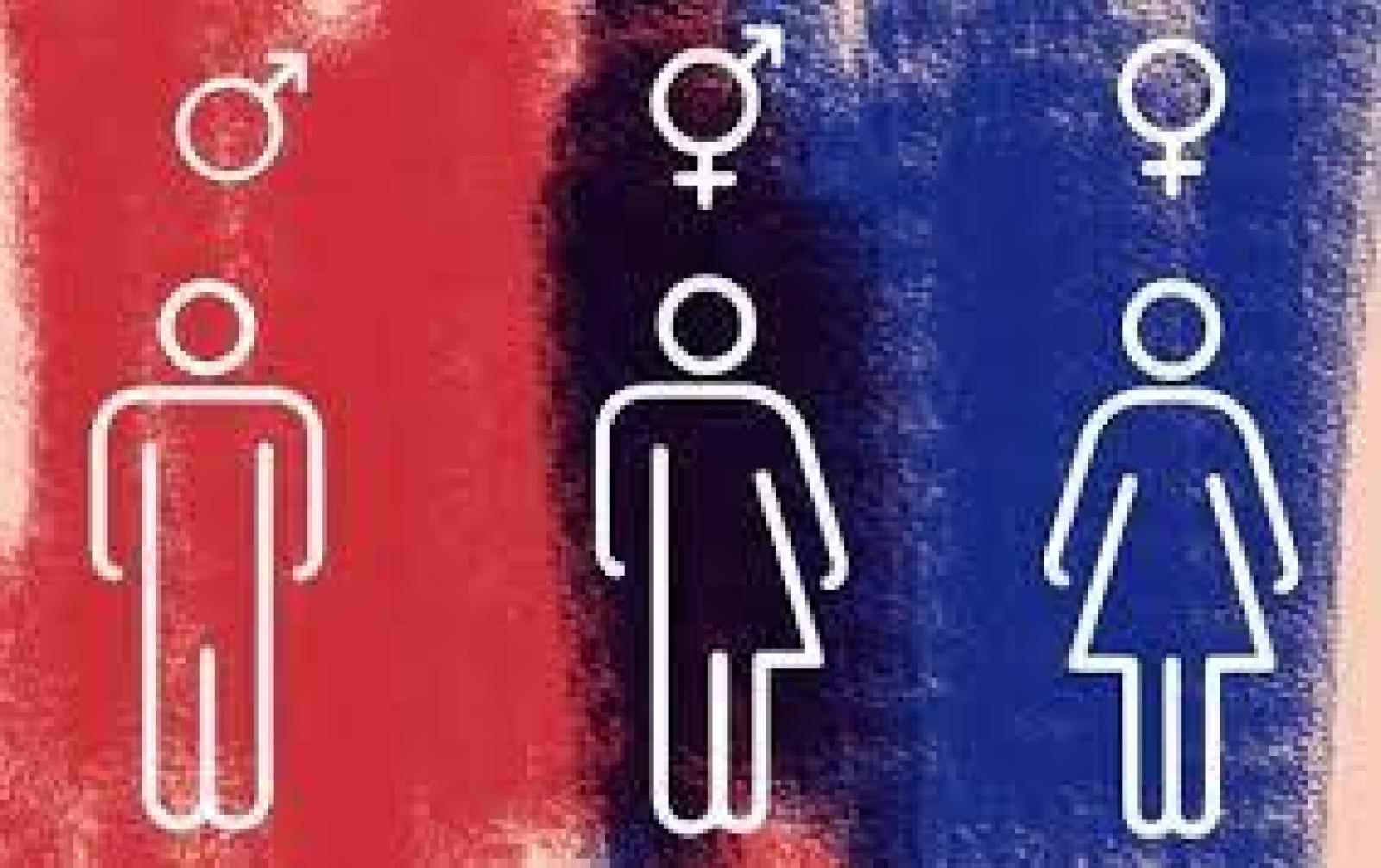 Gênero E Diversidade Sexual: Uma Questão De Direitos Humanos