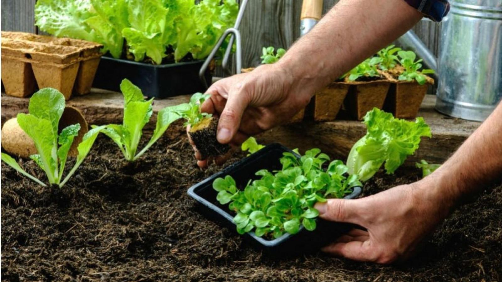 O Que É Agroecologia?