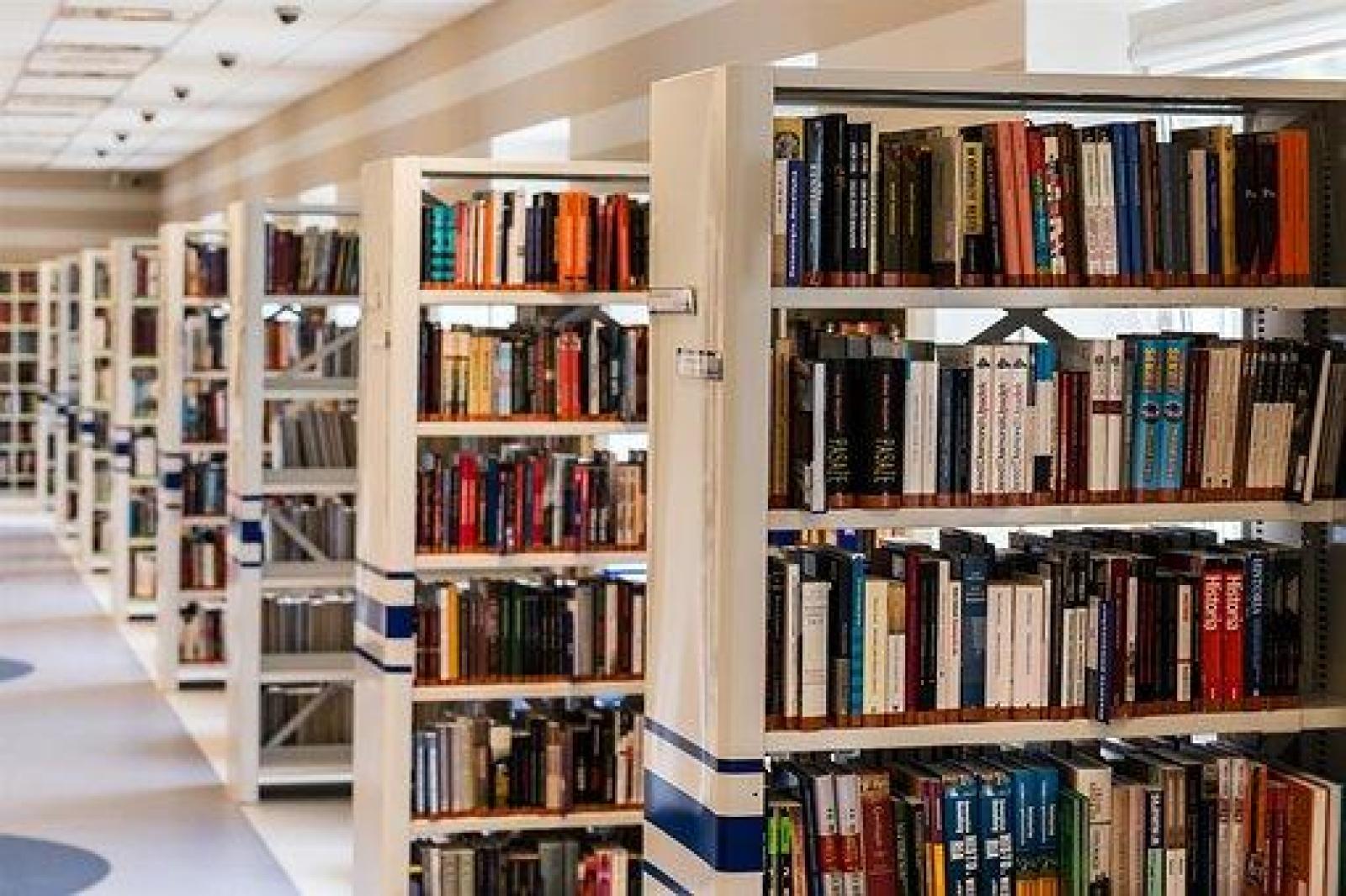 Pesquisa Mostra A Importância Das Bibliotecas Comunitárias No País