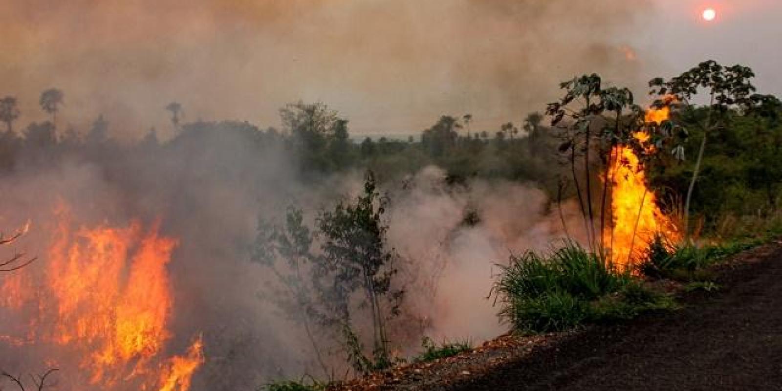 Por Que Pantanal Vive 'Maior Tragédia Ambiental' Em Décadas