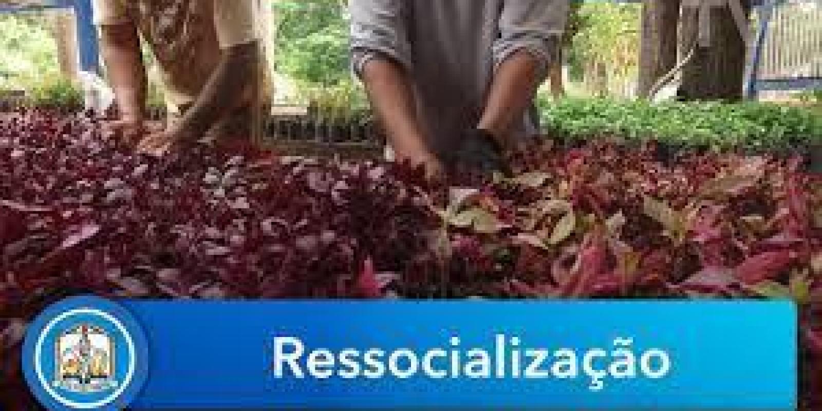 Projeto de ressocialização em Sorriso traz oportunidades a reeducandos