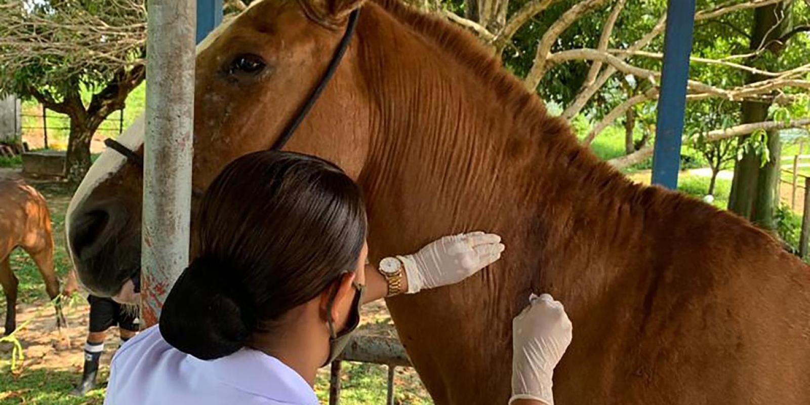 Proteção Aos Animais